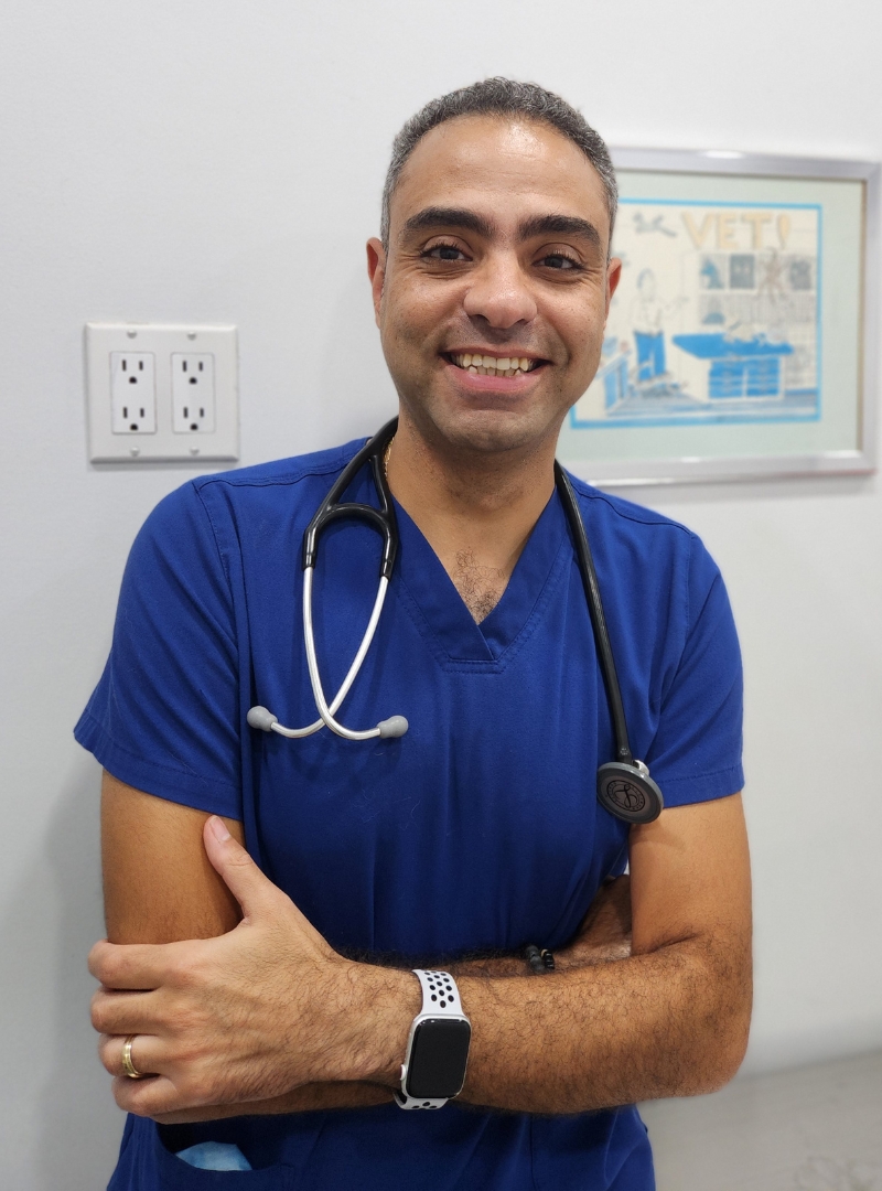 Dr. Hani Hanna