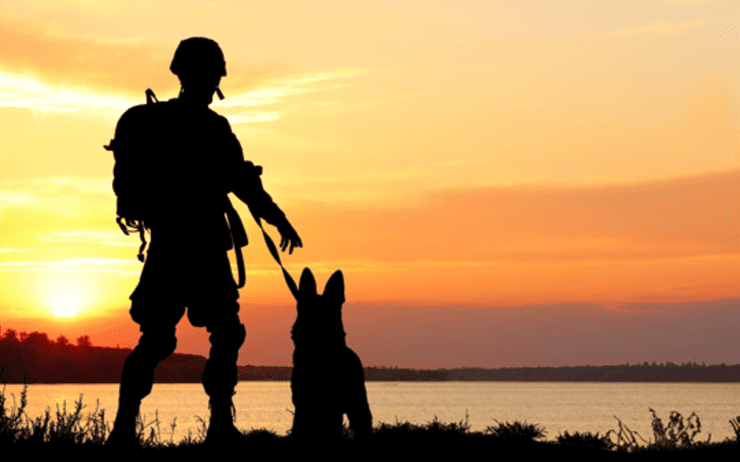 image for Honoring Animal Heroes in Military Service: Past and Present