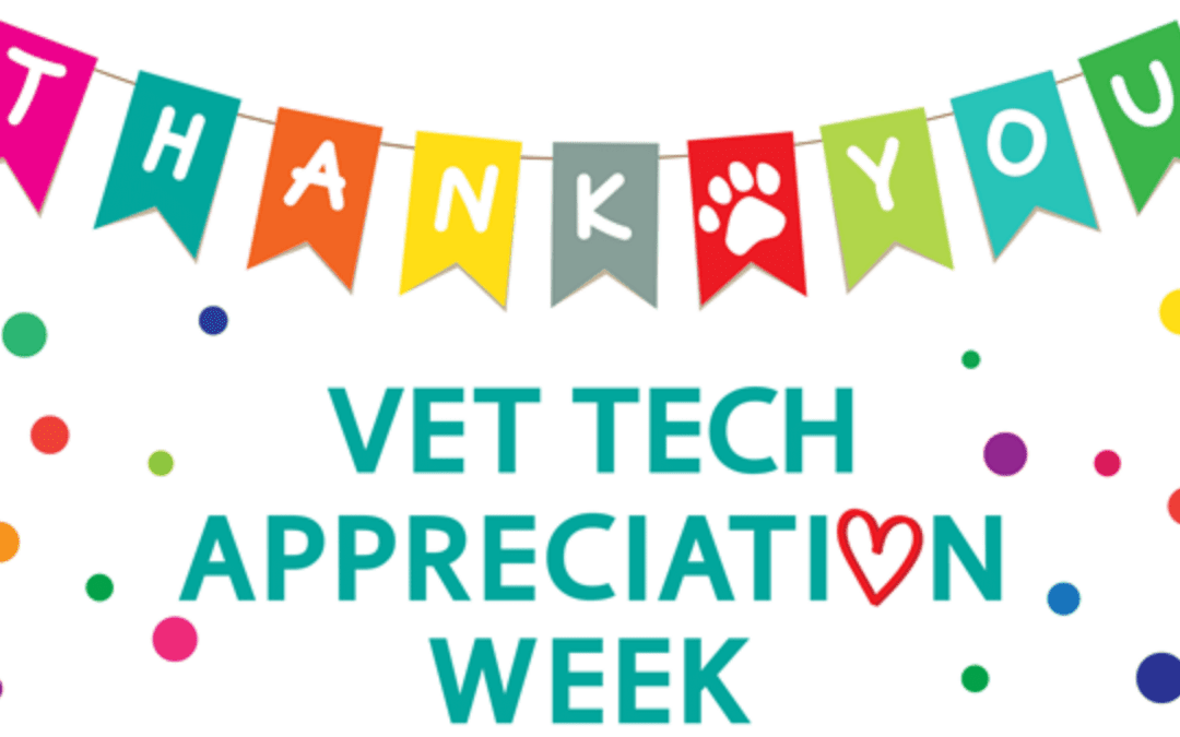 National Veterinary Technician Week poster