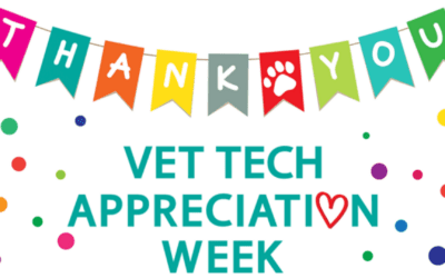 Celebrate National Veterinary Technician Week