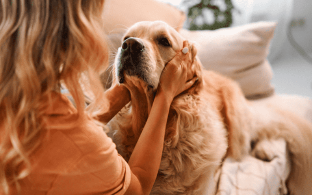 A woman petting a dog