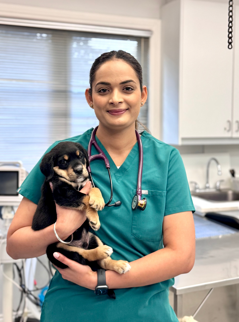 Dr. Gauravpreet Kaur